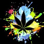 Cannabis cool